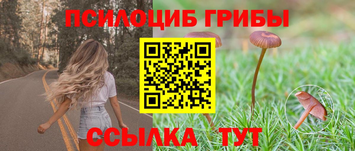 Малоярославец  наркота  Вход с VPN  Галлюциногенные грибы ЛСД 