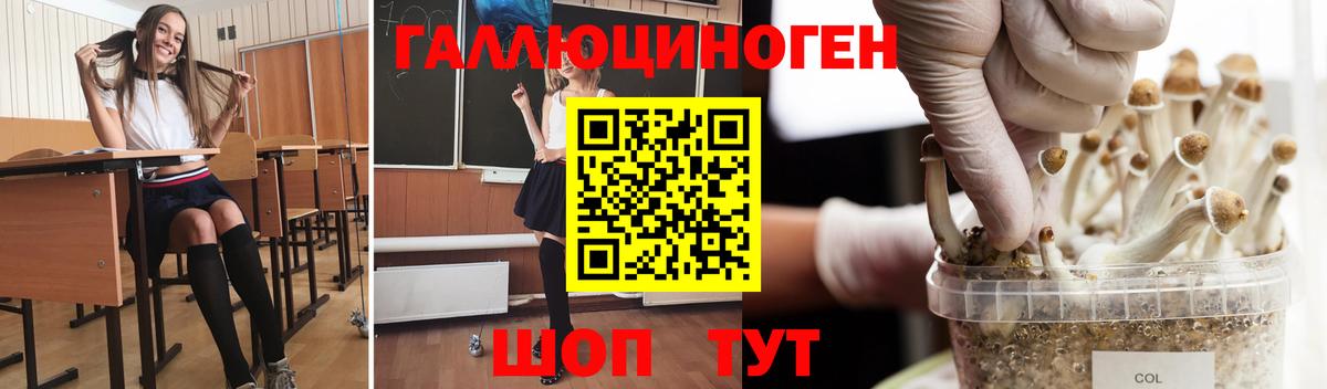 Галлюциногенные грибы ЛСД Малоярославец